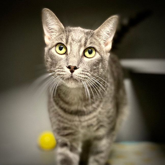 Photo of Timmy