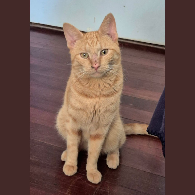 Photo of Alfie