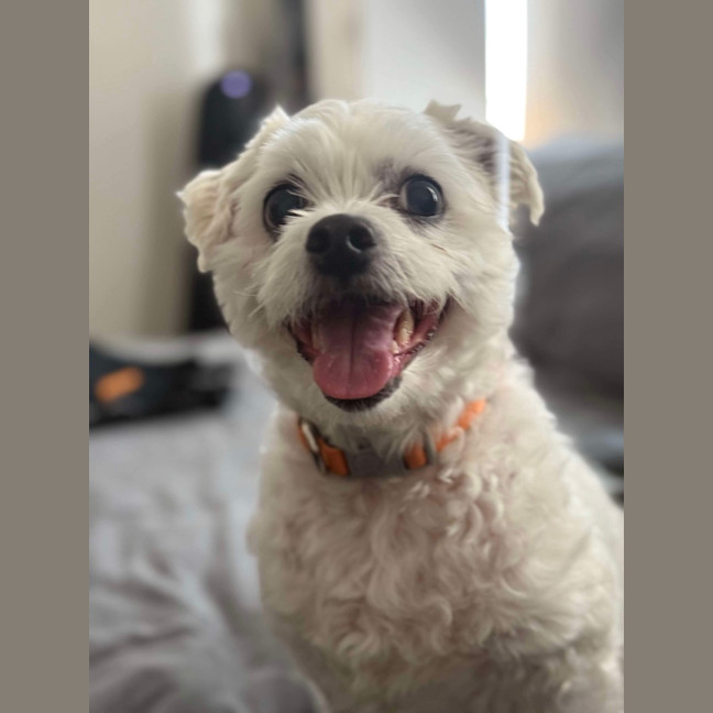 Photo of Max