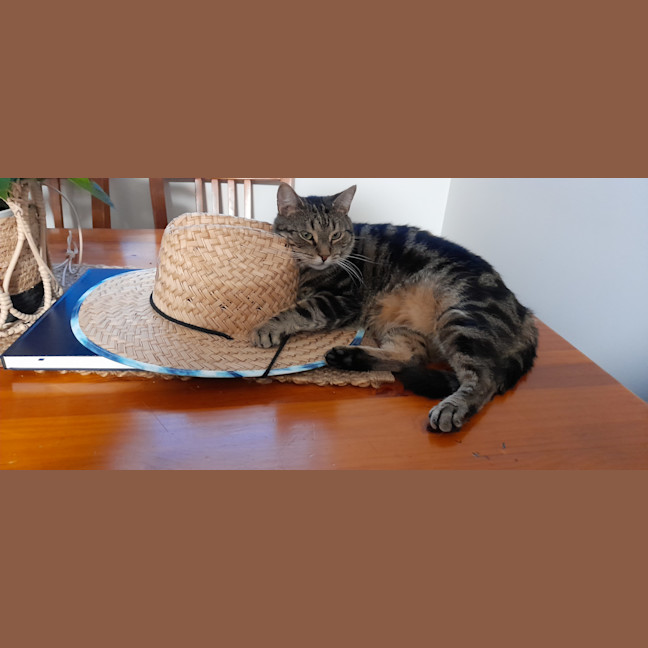 Photo of Pepper