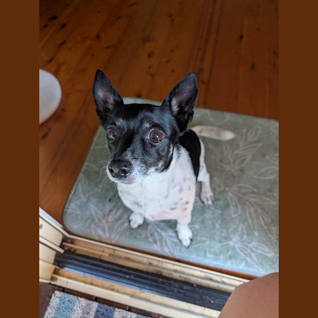Photo of Abbie