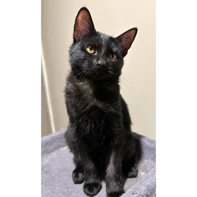 Photo of 12189   Ainsley