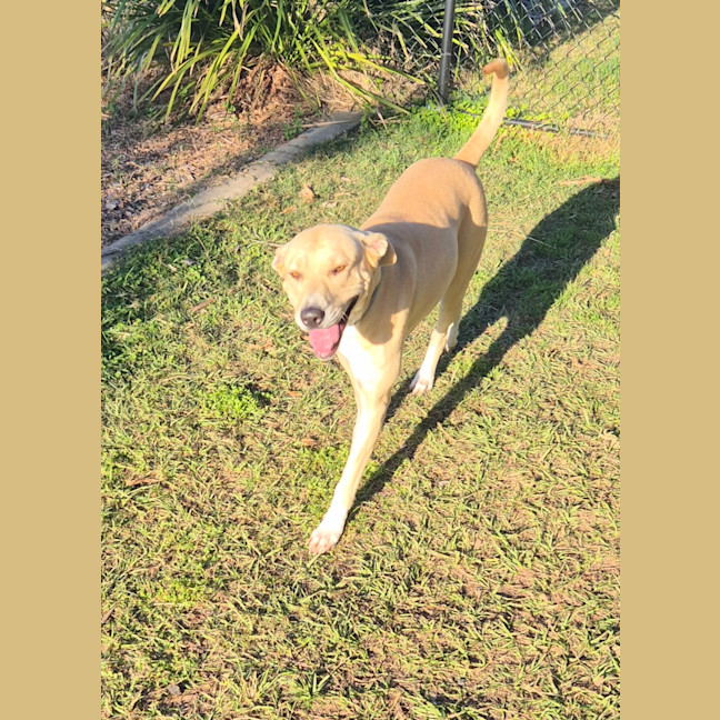 Photo of Narla (8063)