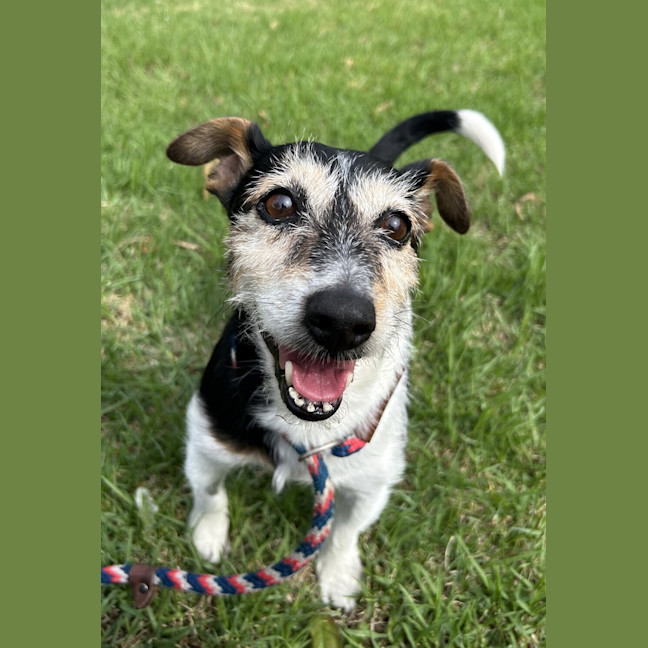 Photo of Star