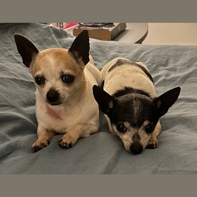 Photo of Chase And Isabella 