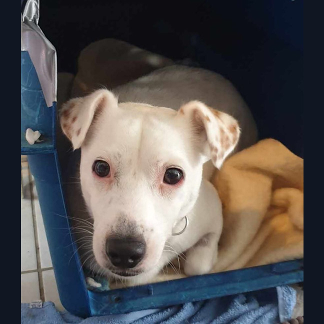 Photo of Frosty The Snowman