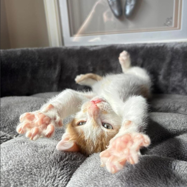 Photo of Fred