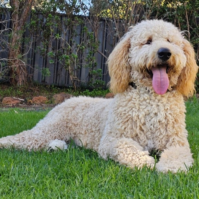 Photo of Mo