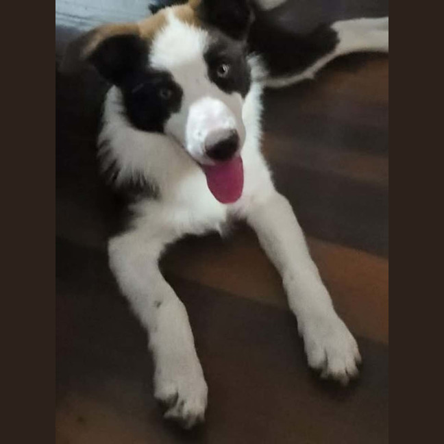 Photo of Jinx