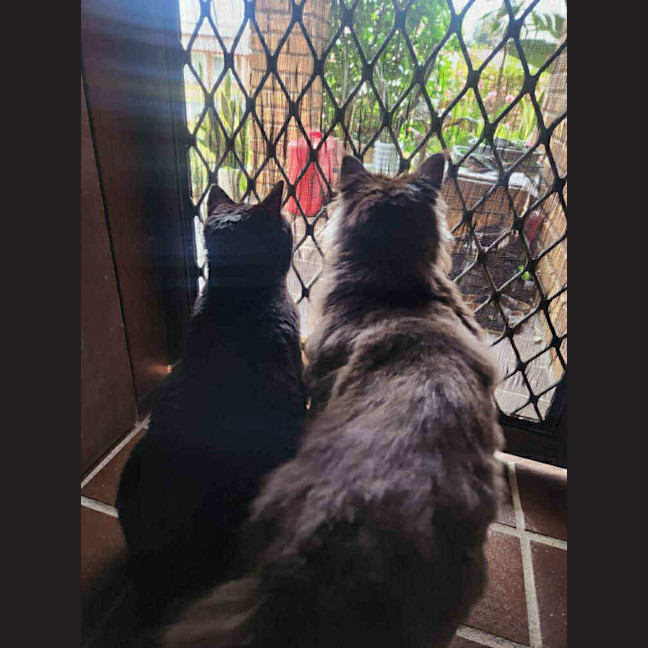 Photo of Ghetto & Gucci