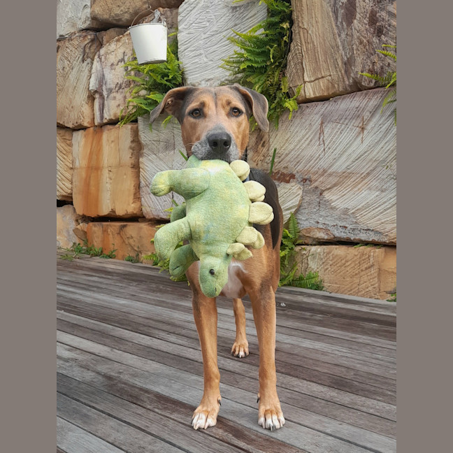 Photo of Ruby