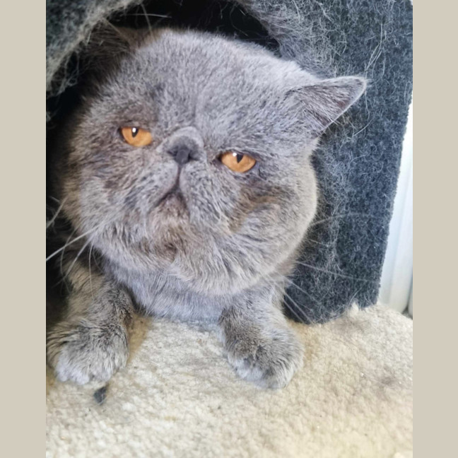 Photo of 🧣Kishmish🧣