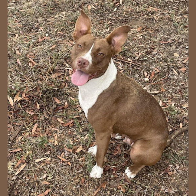 Photo of Coco C