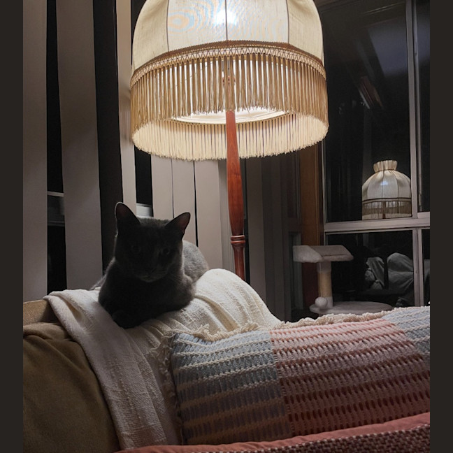 Photo of Smokey