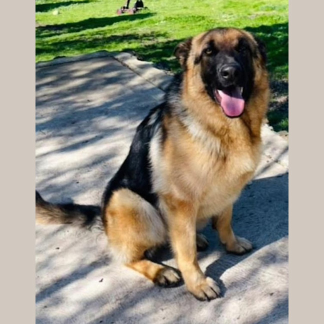 Photo of Jazz