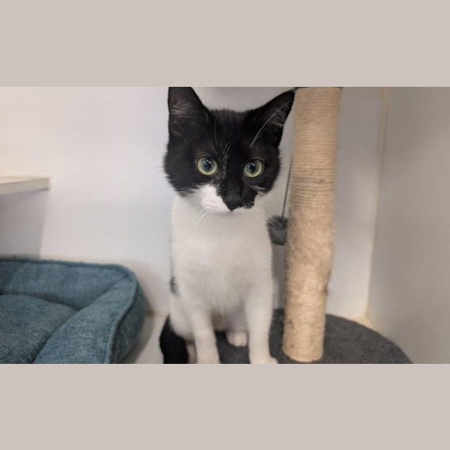 Photo of Sprout
