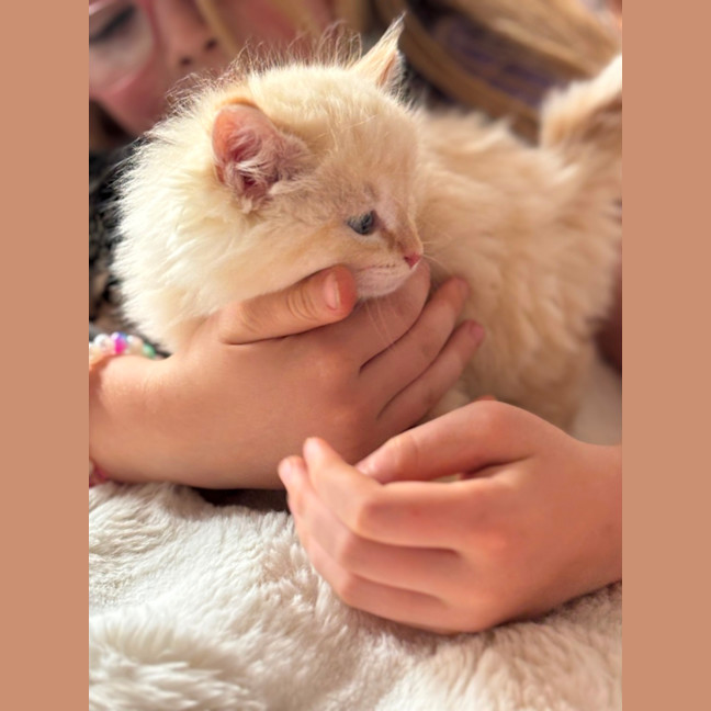 Photo of Oats Meet Me @Petstock Carrum Downs Store