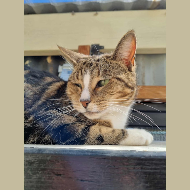 Photo of Chloe