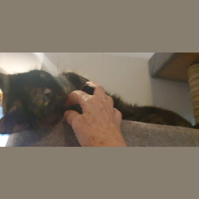 Photo of Ruby 