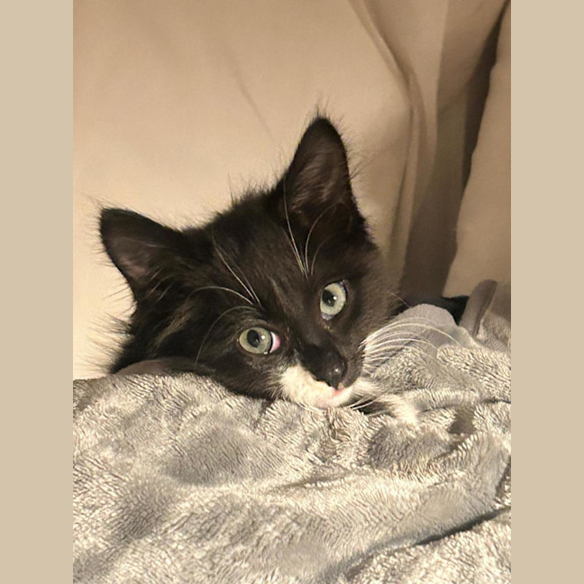 Photo of Vinnie 🧸