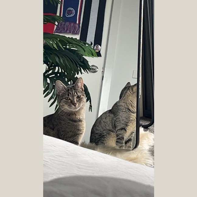 Photo of Nancy