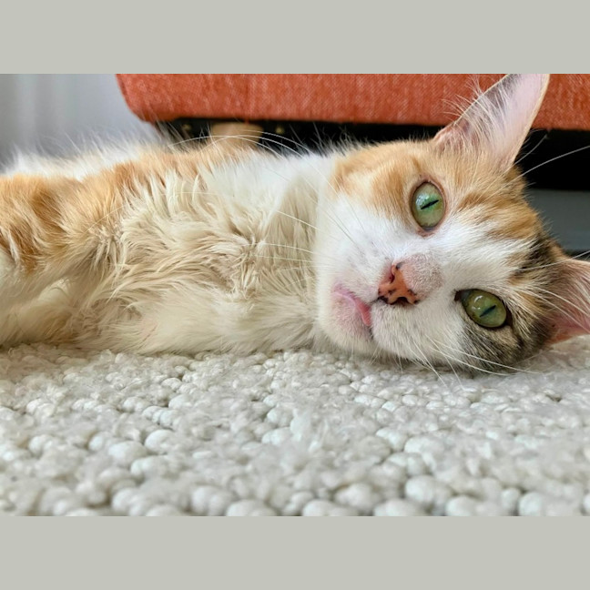 Photo of Trudi 