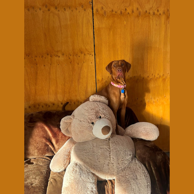 Photo of Cleo
