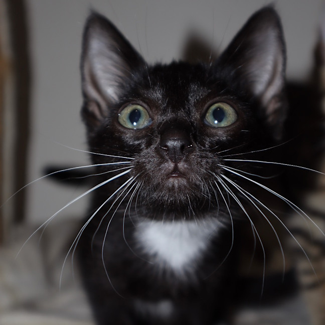 Photo of Gilly