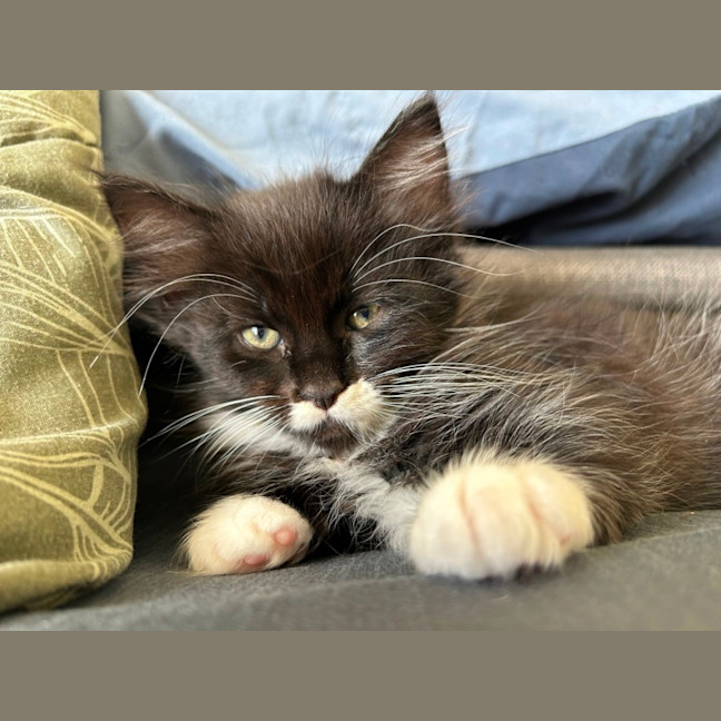 Photo of Mo