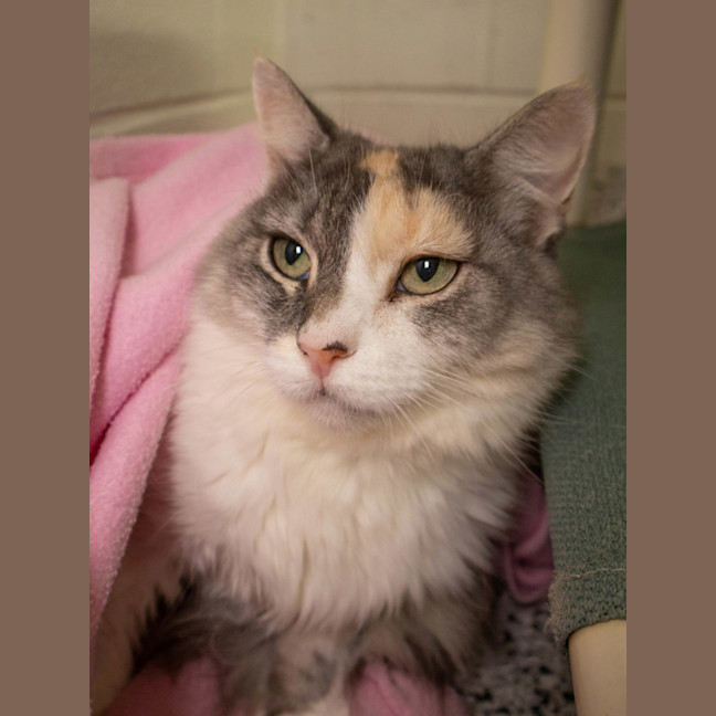 Photo of Zoe