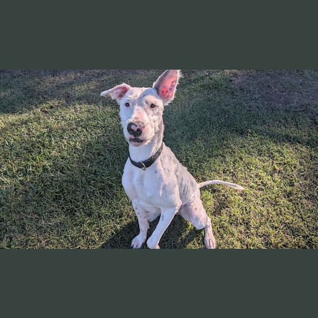 Photo of Princess