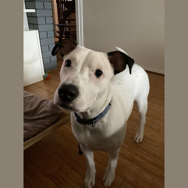 Photo of D1224 Lucky