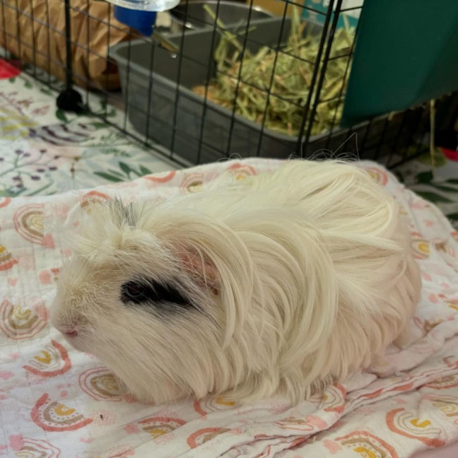 Photo of Peter & Pascal