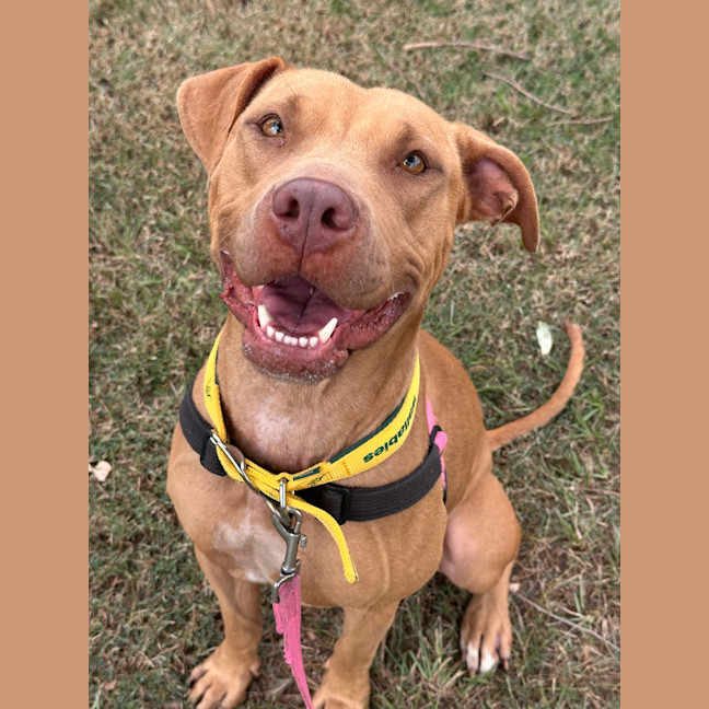 Photo of Luna