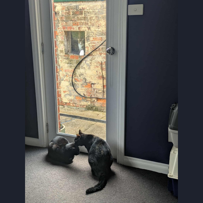 Photo of Amy & Declan