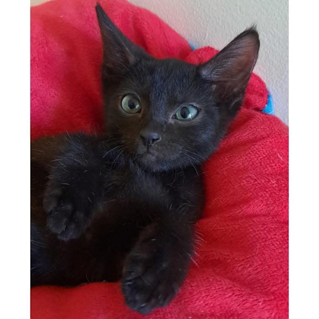 Photo of 13293   King Greg