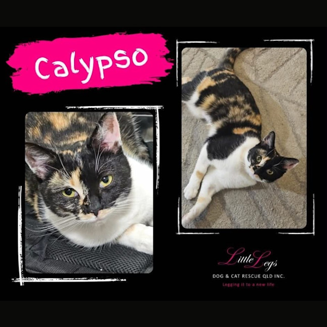 Photo of Calypso 