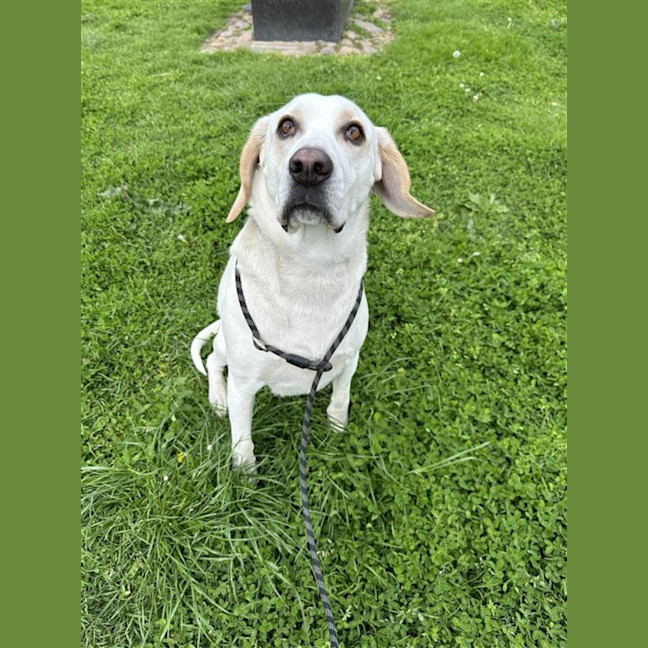 Photo of Bruce