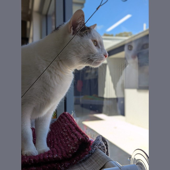 Photo of 🎪 George 6613 🎪