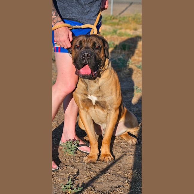 Photo of Ace