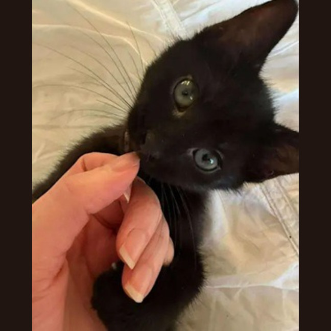 Photo of Laverne