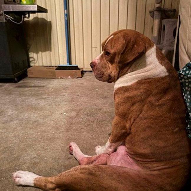 Photo of Murphy