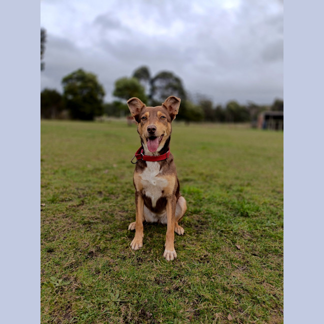 Photo of Luna