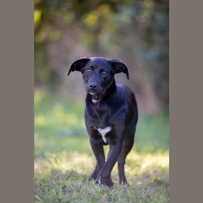 Photo of Milly