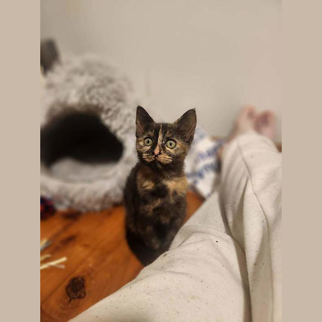 Photo of Maeve