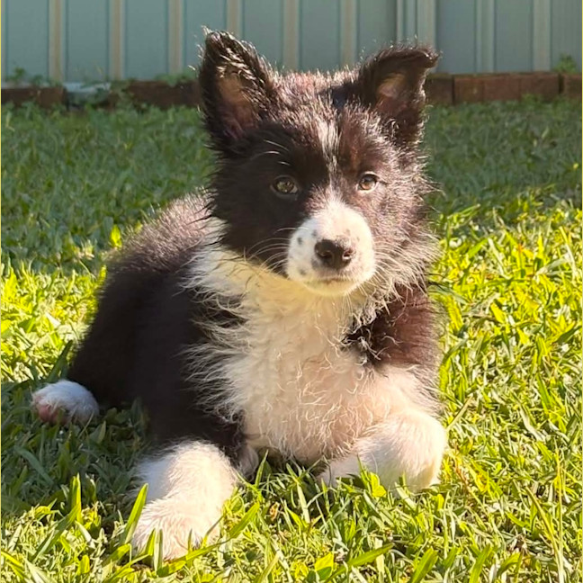 Photo of Rey