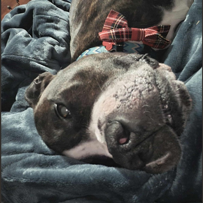 Photo of Cruz