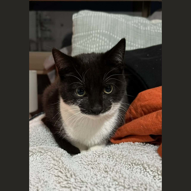 Photo of Miss G