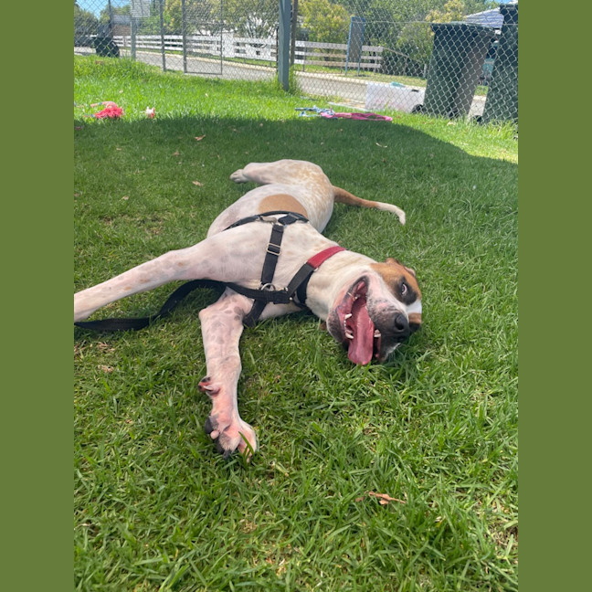 Photo of Axel