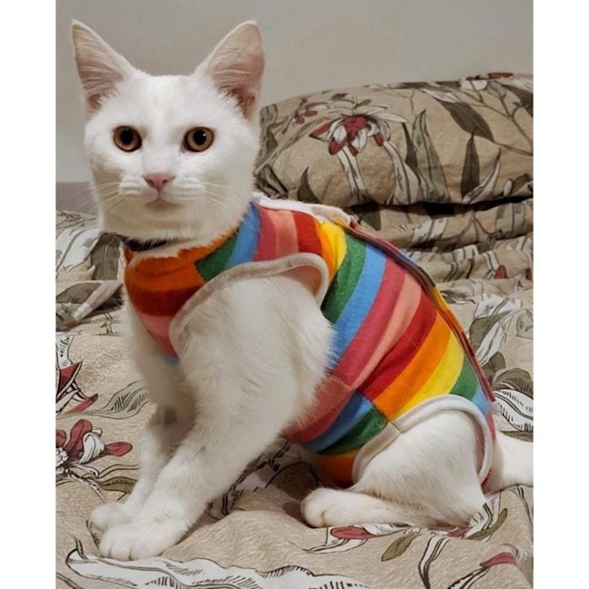 Photo of 12307   Alyssa